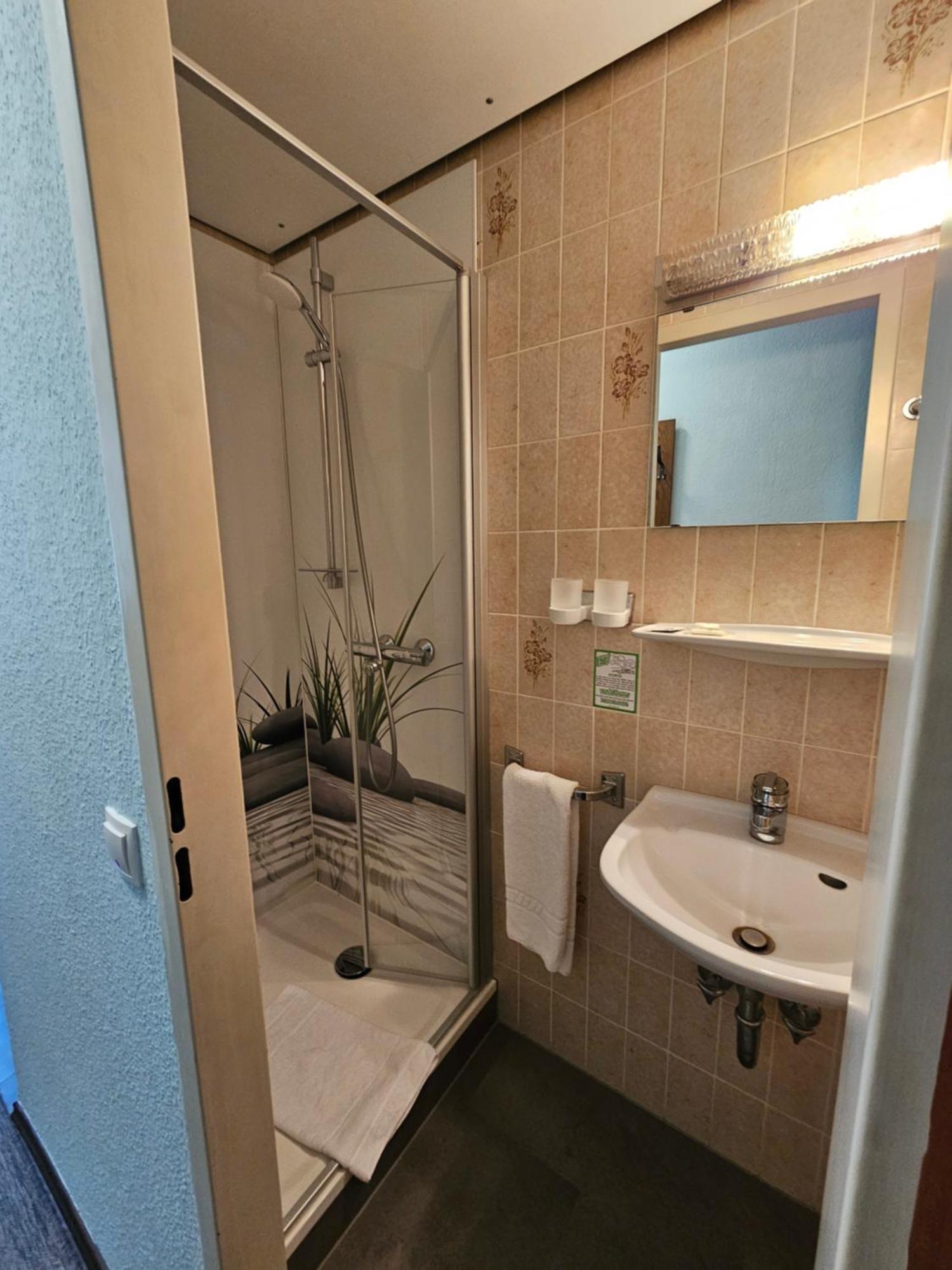 Hotel & Restaurant Krone Rehau Bagian luar foto